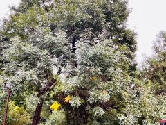 -元大都城垣遗址公园