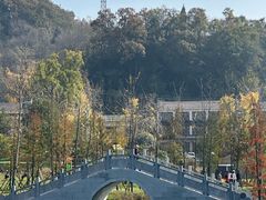 -千年银杏谷文化旅游区