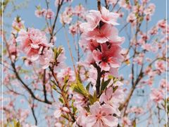 -太阳宫公园