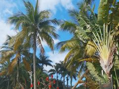 -白沙门生态公园