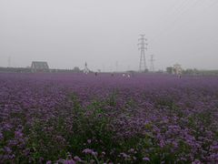 -北戴河集发农业梦想王国
