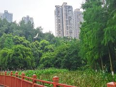 -重庆彩云湖湿地公园
