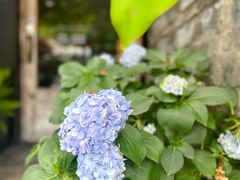 -一叶觅山(半边街店)