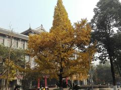 -四川大学(华西校区)