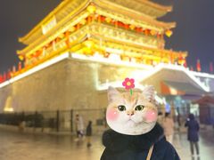 -老刘家biangbiang面(鼓楼店)