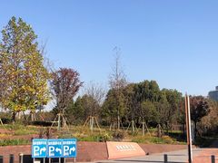 -上海山野camping·户外天幕烧烤·团建拓展营地