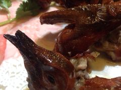 吊烧乳鸽-郑厨私房菜