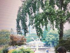 -西北湖绿化广场