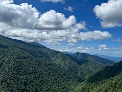 -瓦屋山景区