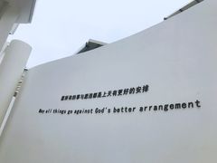 -猫咪博物馆(顶澳仔猫街店)