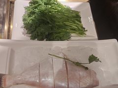 -红鼎坊·老成都火锅(新南门店)