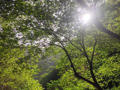 -北京上方山国家森林公园