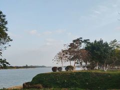 -鹤之洲湿地公园
