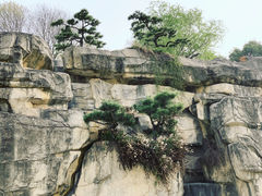 -中国唐苑