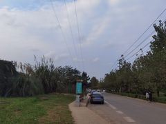 -白鹭湾湿地公园