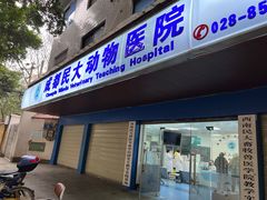 -成都民大动物医院