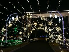 -大连人民广场