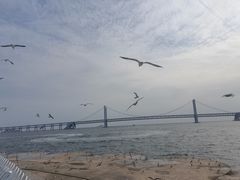 -星海广场