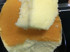 -向阳坊(树兜店)