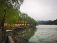 -鸣鹤古镇