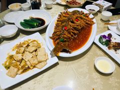 葱烧豆腐-百年认一力·清真牛羊肉(南中环店)