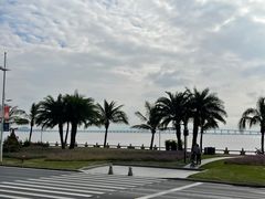-新海利海鲜城·41年珠海老字号(夏湾店)