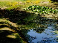 -长白岛森林公园