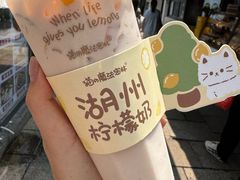 -猫的魔法密林(衣裳街店)