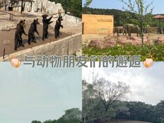 -沈阳森林动物园