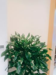 -天津伊美尔医疗整形美容专科医院