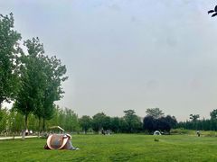 -汉长安城未央宫国家考古遗址公园