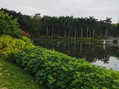 -南宁南湖公园