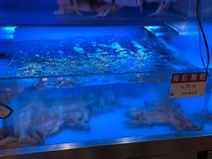 -協成海鮮火鍋(老店)