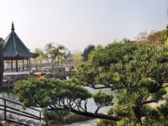 -无锡蠡湖国家湿地公园-蠡园