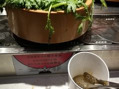 -龍歌自助小火锅(市南金茂湾店)