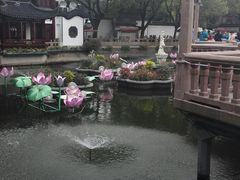 -豫园湖心亭茶楼