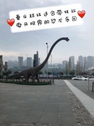 -恐龙探索乐园(磁器口店)