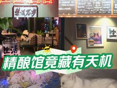 -后院儿·精酿·塔罗Happy Bar