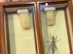 -Rabbit Cafe私房西餐甜点咖啡(栖霞路店)