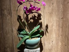 -德迹斋禅意文化茶馆·茶空间·商务洽谈•宴席(桃园店)