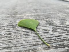 -北京石刻艺术博物馆(五塔寺)