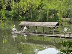 -扬州市茱萸湾风景区