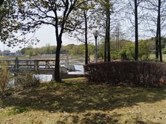 -贡湖湾湿地公园