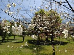 -崇圣寺三塔文化旅游区