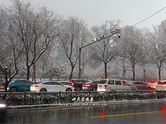 -陕西自然博物馆