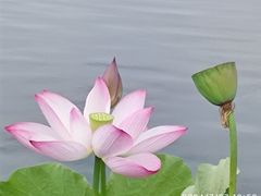 -翠湖公园