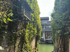 -乌镇西栅景区