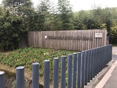 -都江堰中华大熊猫苑