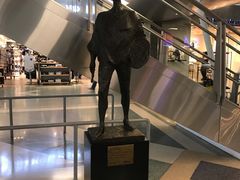 -约翰·菲茨杰拉德·肯尼迪国际机场