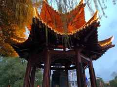 -杜甫江阁